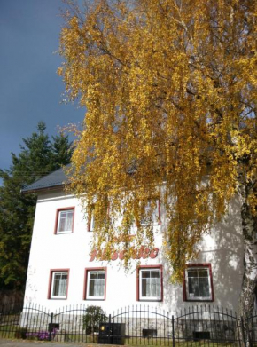 Villa Plischke Lipova Lazne